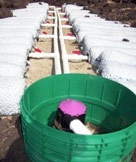 Large Pressurized Drainfield System in Illinois uses EZFlow® by Infiltrator